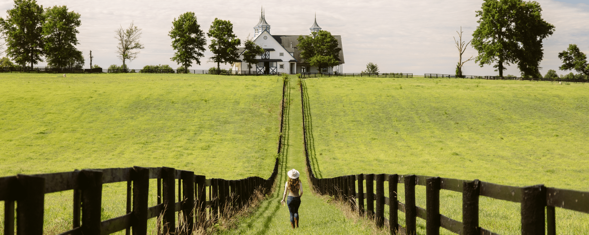 Kentucky (2000 x 800 px)
