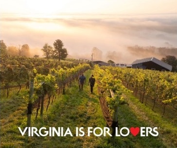 Publicité pour Virginie - Nov 25 - HP