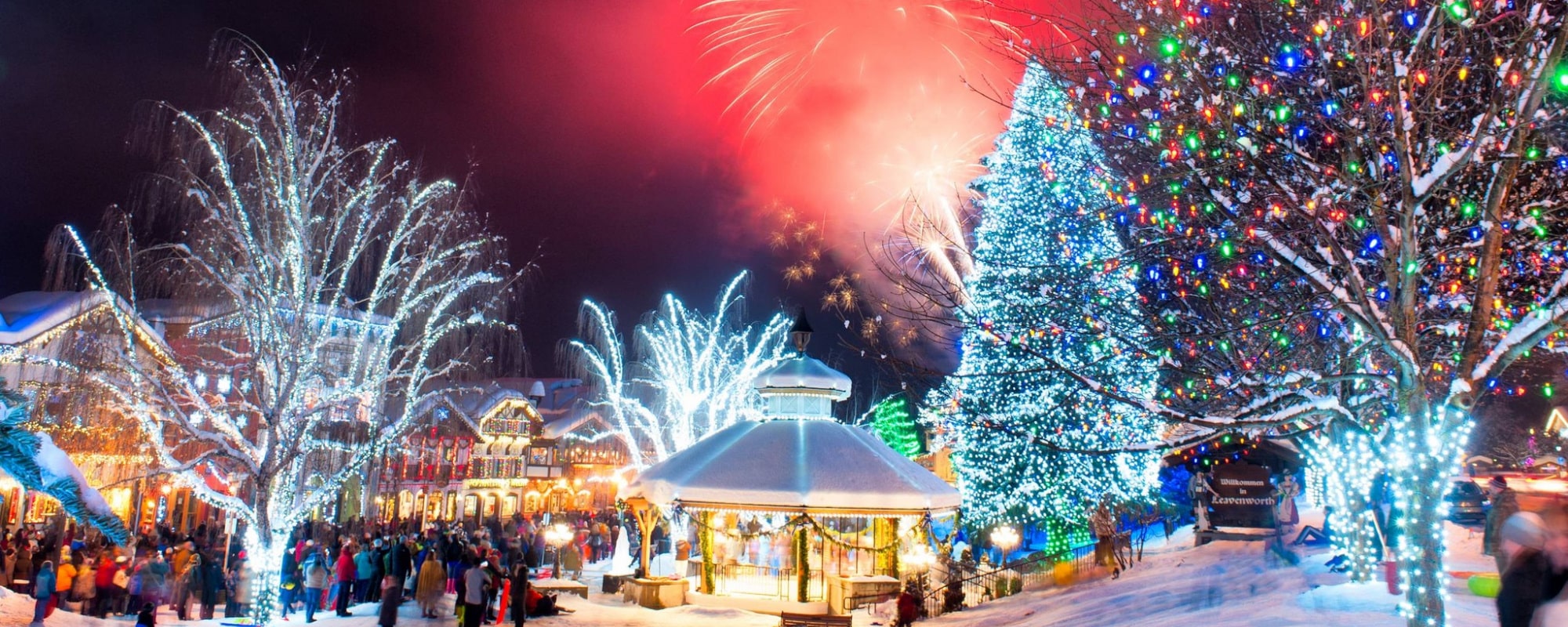 Washington State 2000X800