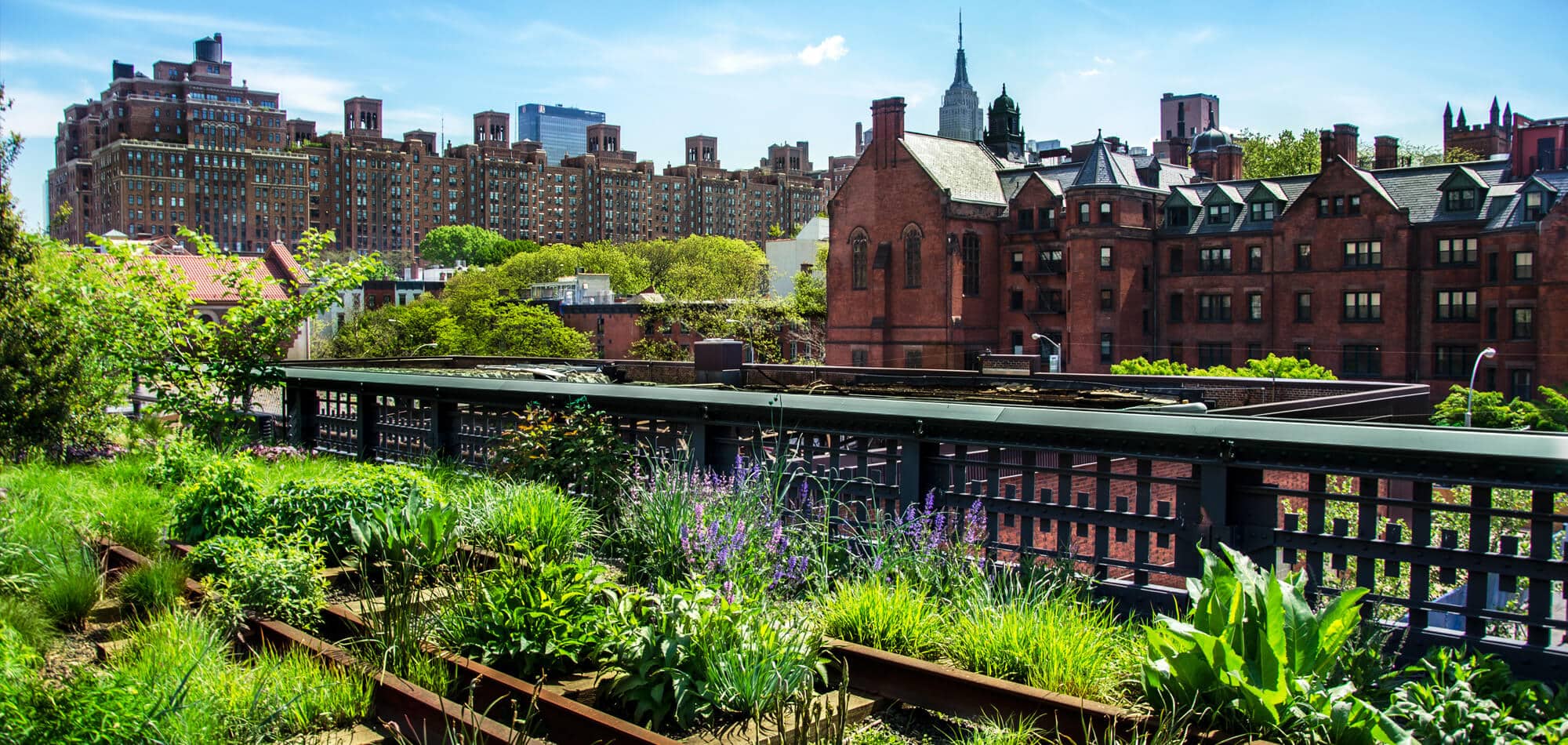 new-york-high-line-park_2000x950px