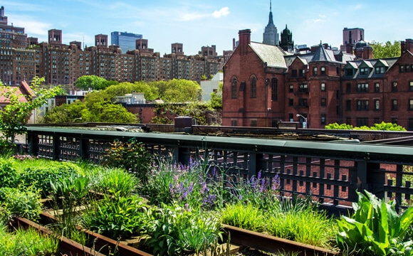 Image : High Line Park
