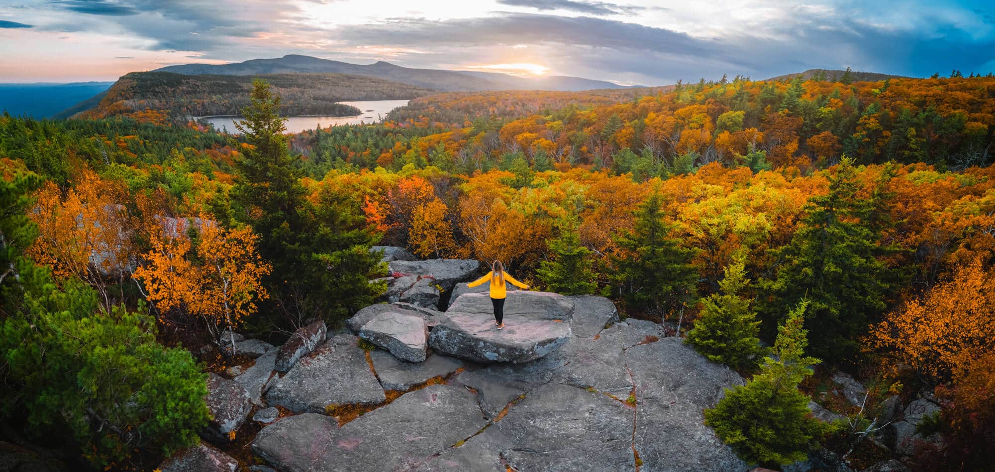 new-york-woodstock_2000x950px