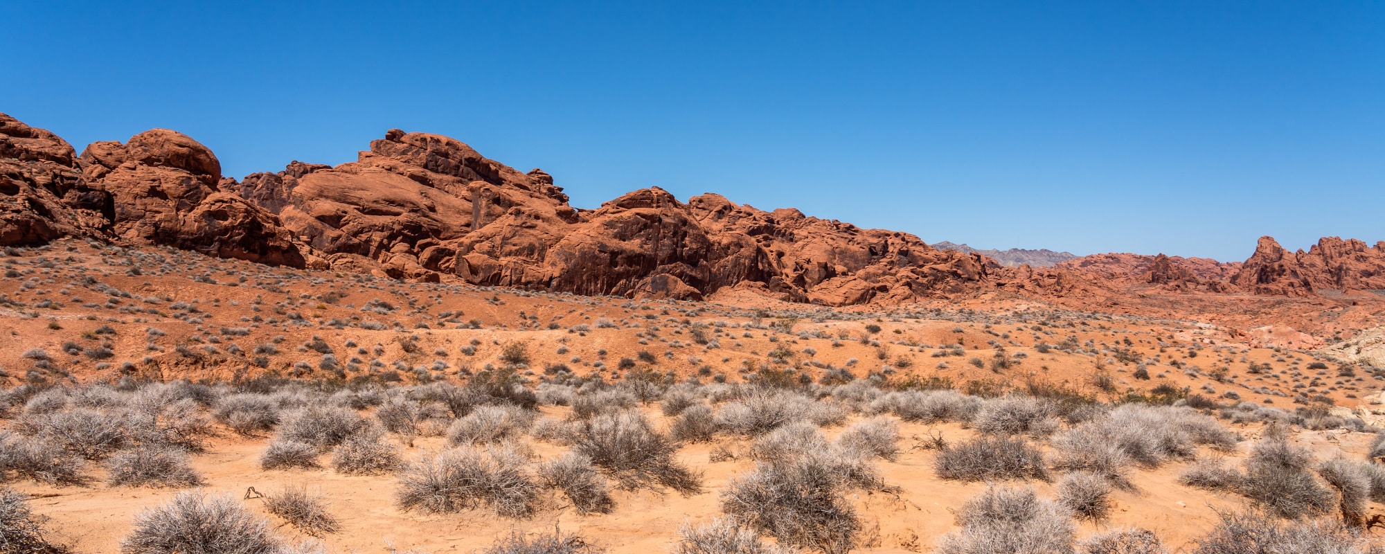 Red Rock Canyon National Conservation Area in Nevada