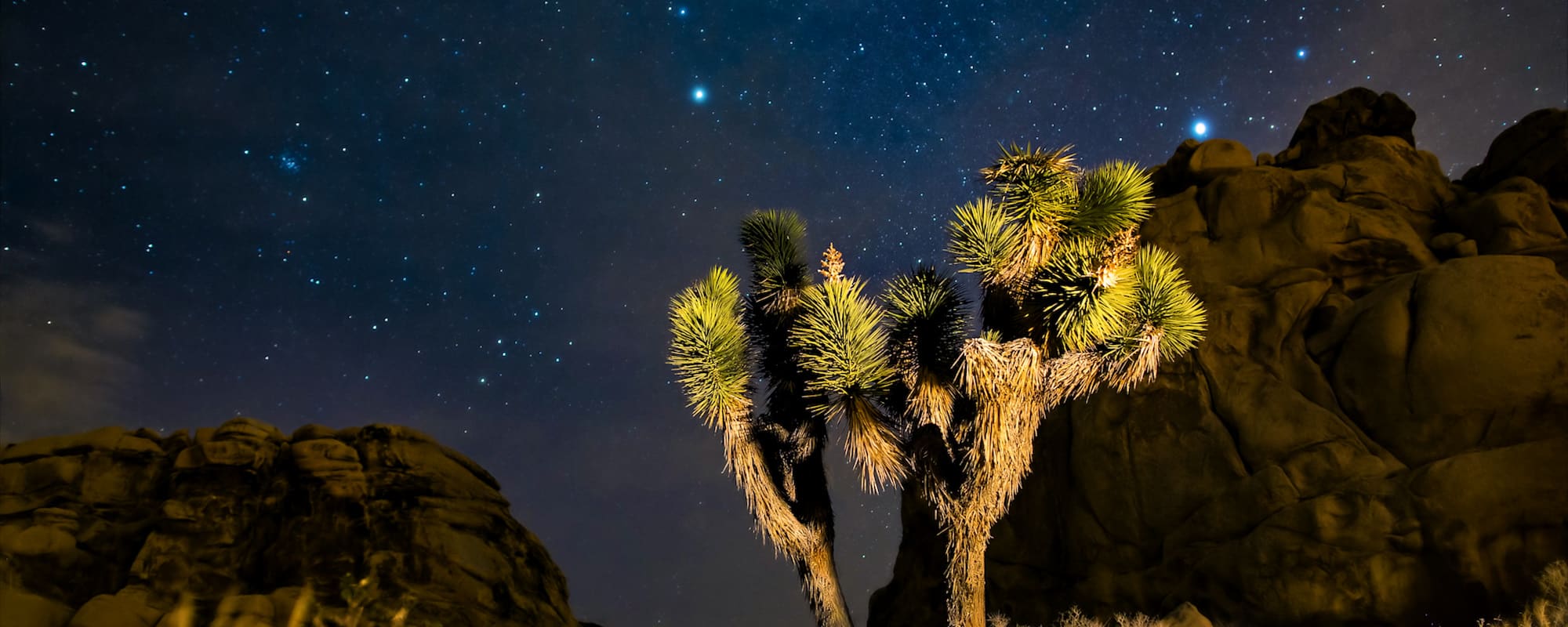 Palm Springs 2000x800