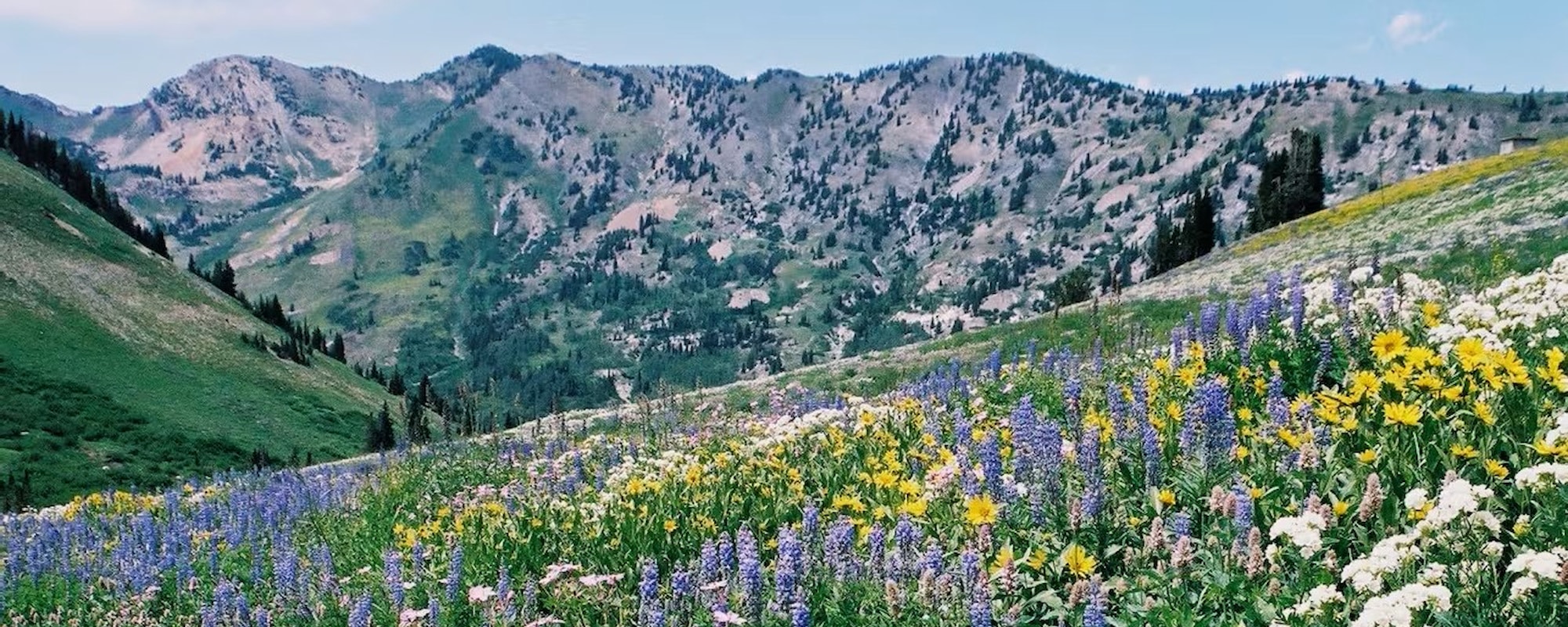 Salt Lake City 3-2000x800