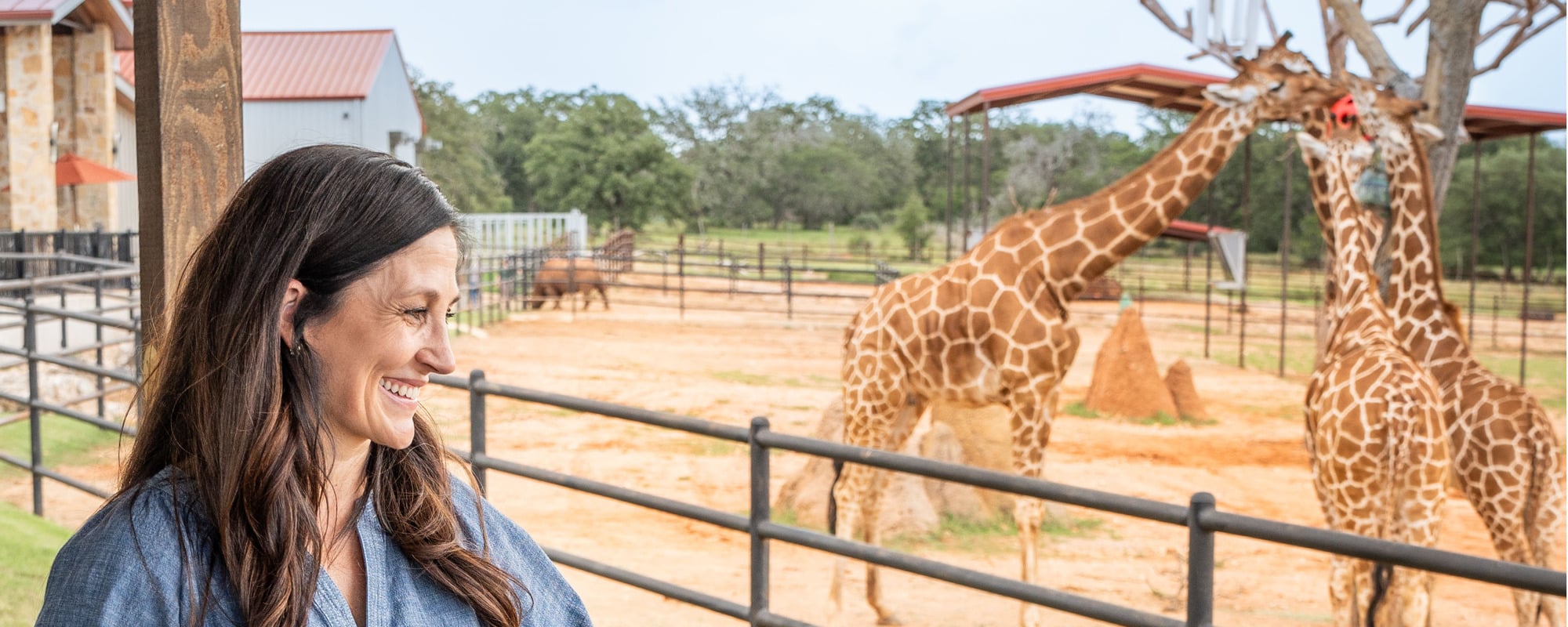 Fredericksburg 200x800