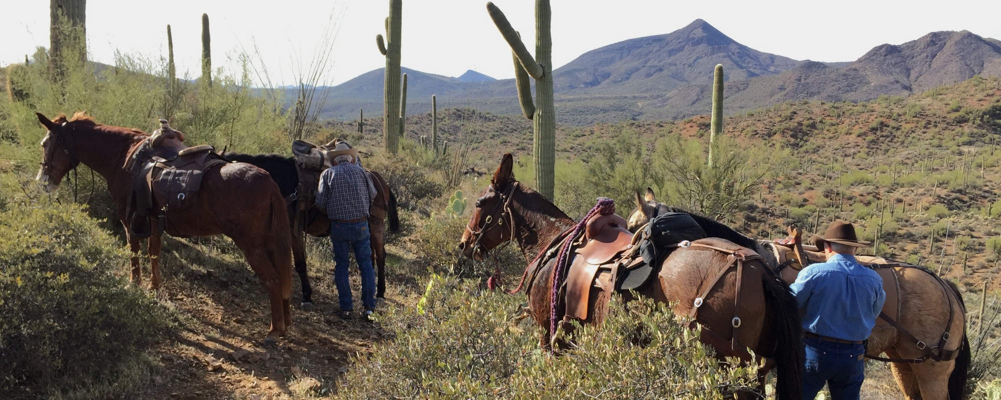 Phoenix - Bronco Trailhead Construction - Photo Credit Maricopa County Parks and Recreation Department (2000x800)
