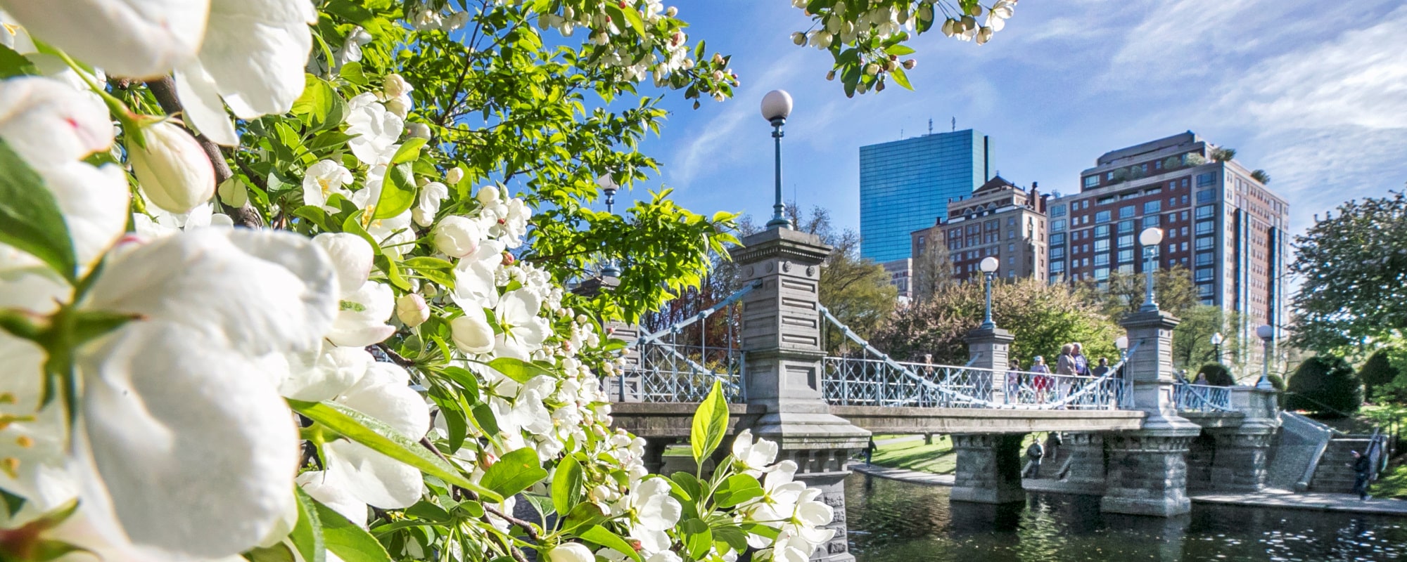 Boston 2000x800