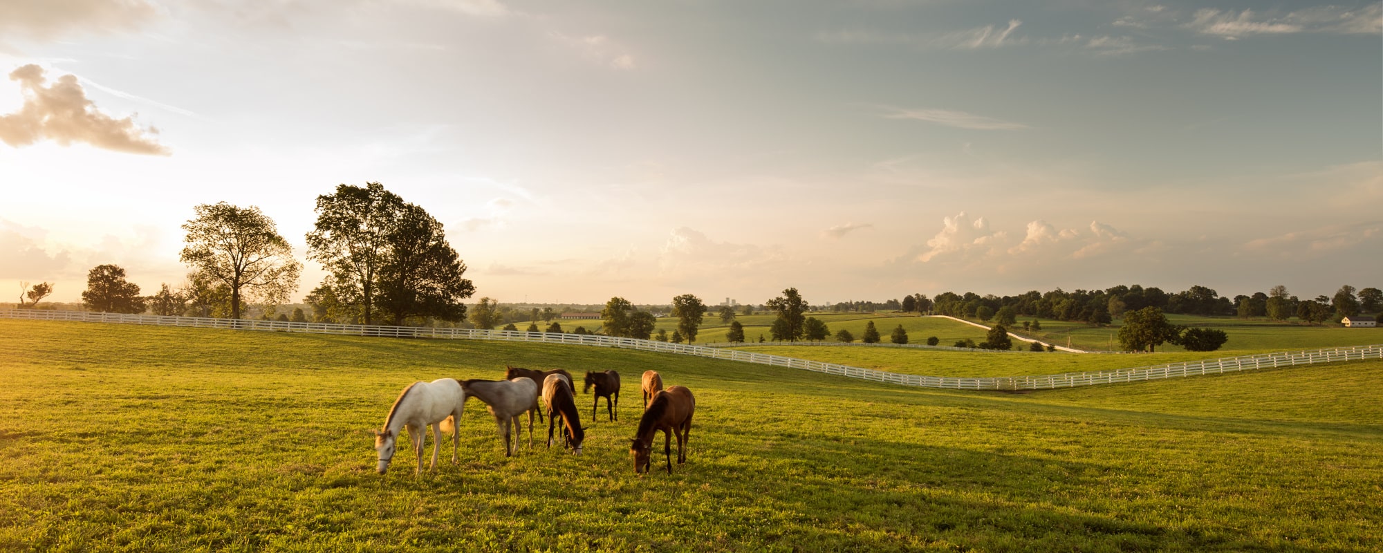 2019 Brand USA KY Digital Magazi