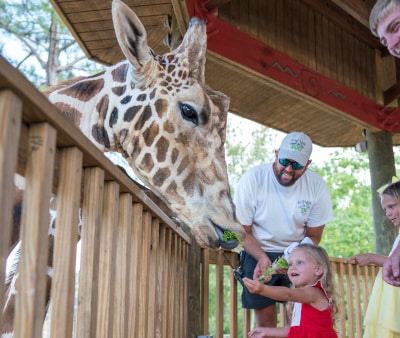 Image : Alabama Gulf Coast Zoo