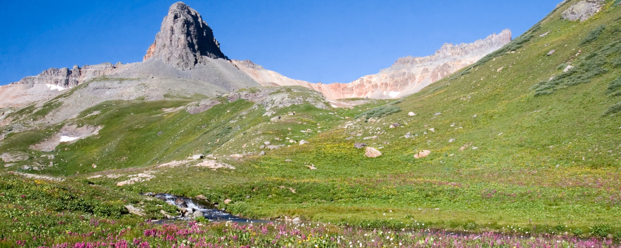 A field of wildflowers near a babbling brook in the San Juan Mountains