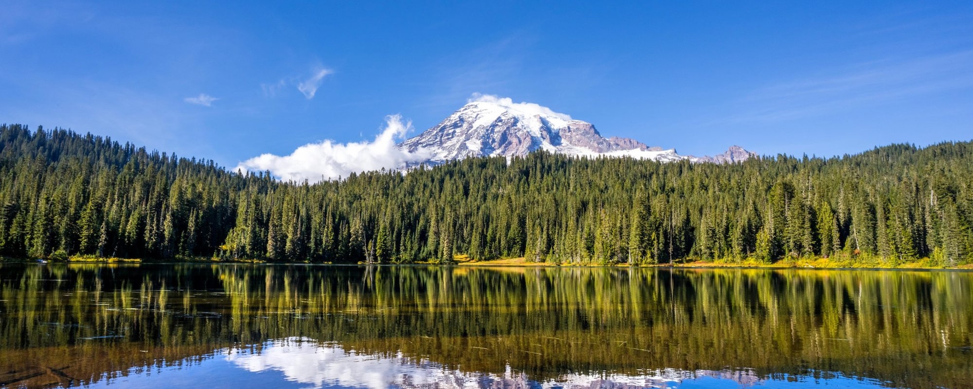 Washington State 2000x800