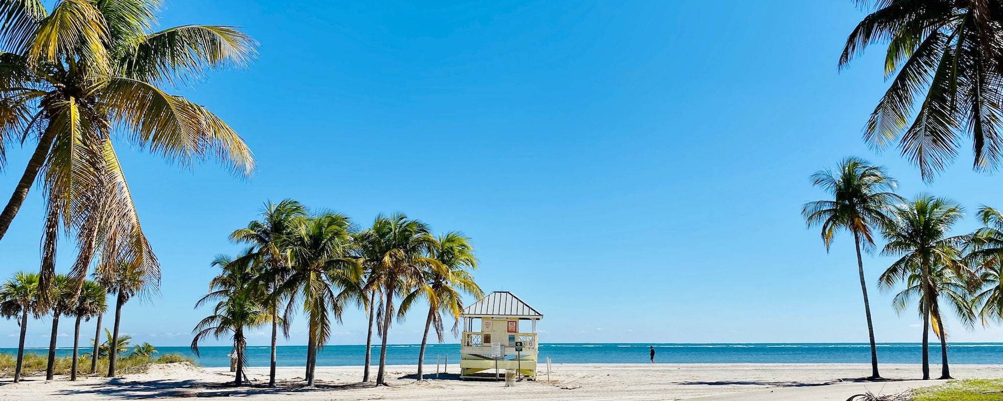 Crandon Park Miami-1