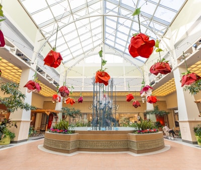 Image : West Acres Mall