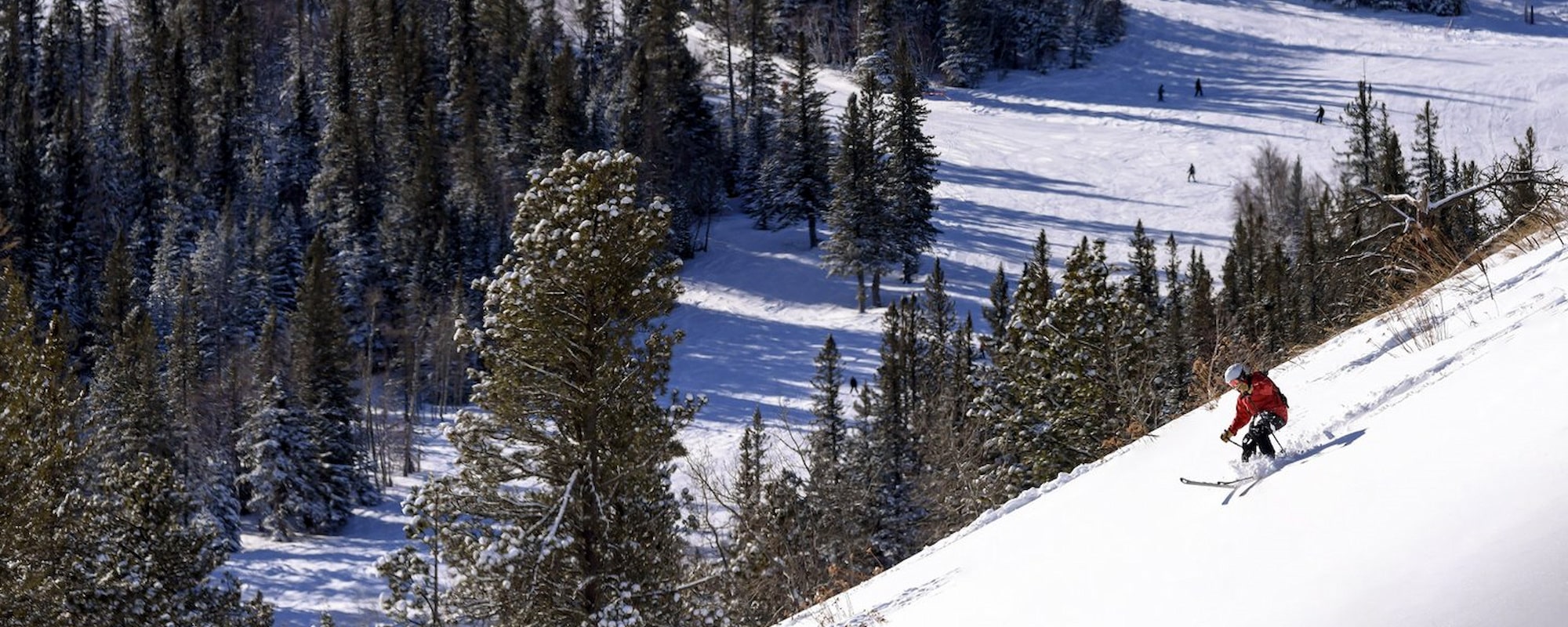 terry peak-2000x800