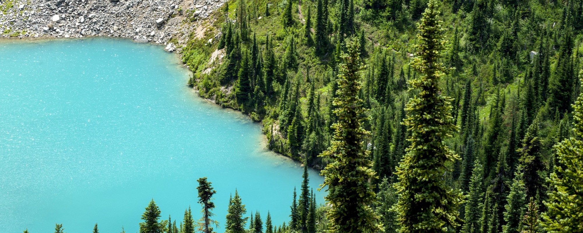 Washington State 2000x800