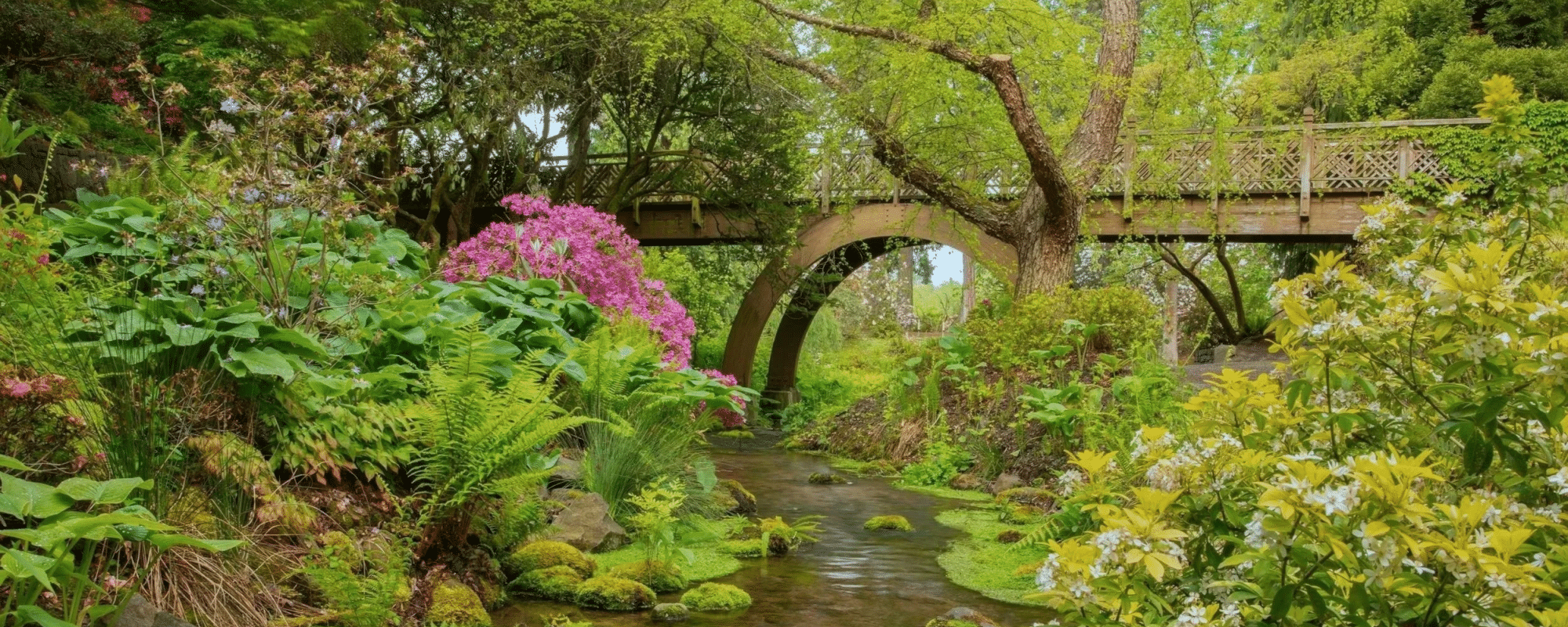 Crystal-Springs-Rhododendron-Garden-Oregon 2000 800