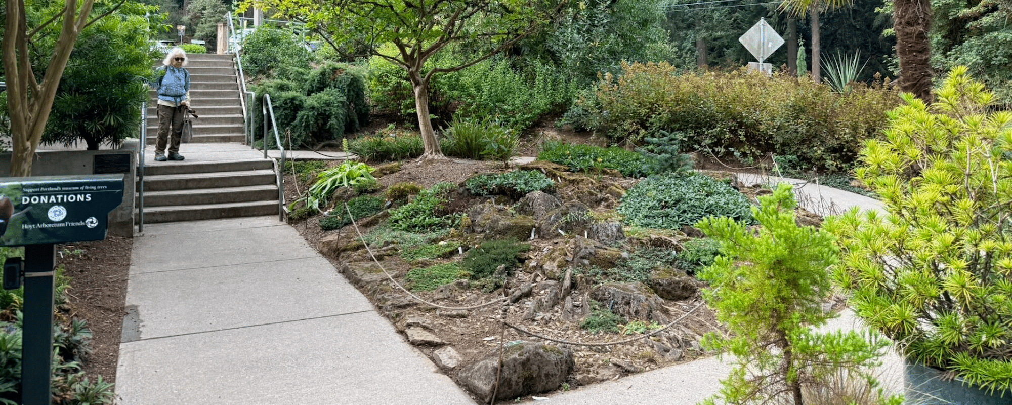 Hoyt Arboretum 2000x800